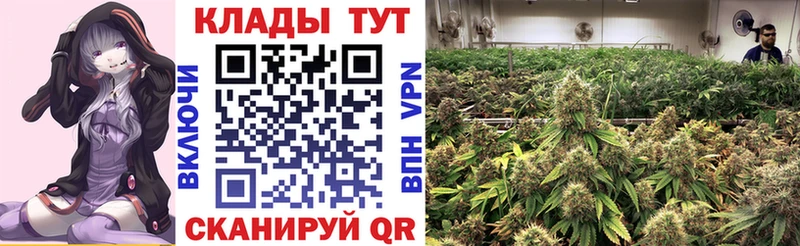 Что такое Салехард Канабис Мефедрон Alpha-PVP ГАШИШ