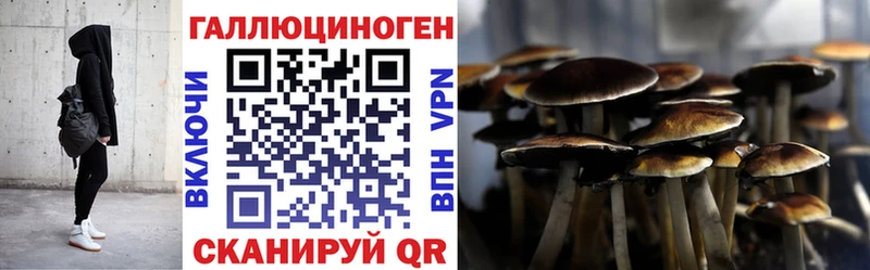 Псилоцибиновые грибы Psilocybe  дарнет шоп  Салехард 